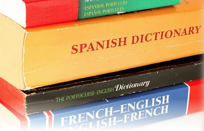 Learn a Language